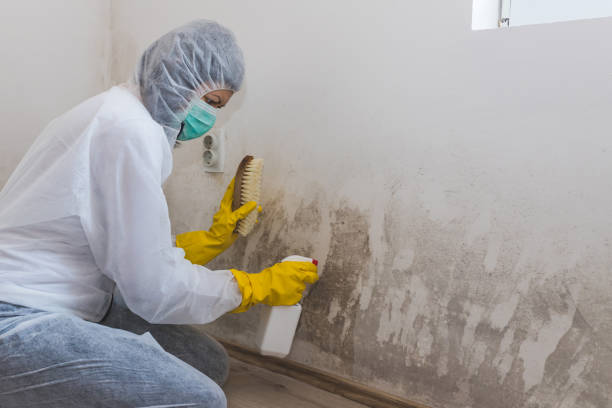 Best Mold Odor Removal Services  in Seven Lakes, NC