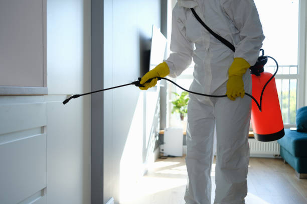 Best Residential Mold Inspection & Testing  in Seven Lakes, NC