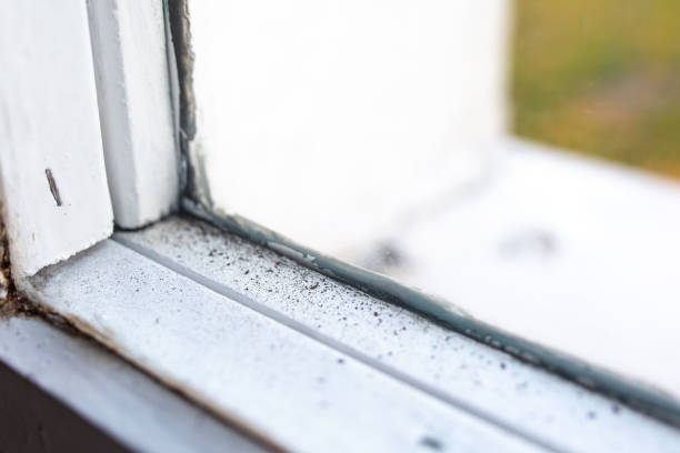Best Indoor Air Quality Assessment  in Seven Lakes, NC