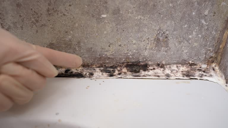 Best HVAC Mold Inspection and Cleaning  in Seven Lakes, NC
